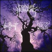 Cervus Nebulae : Hellfrost Cervus Nebulae Blaze Of Sorrow